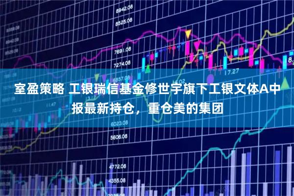 室盈策略 工银瑞信基金修世宇旗下工银文体A中报最新持仓，重仓美的集团