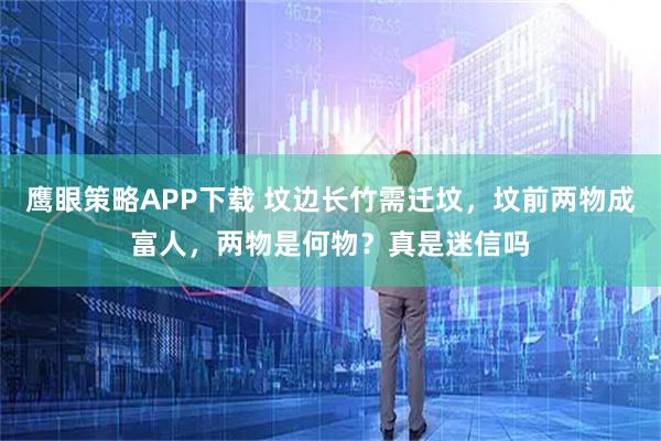 鹰眼策略APP下载 坟边长竹需迁坟，坟前两物成富人，两物是何物？真是迷信吗